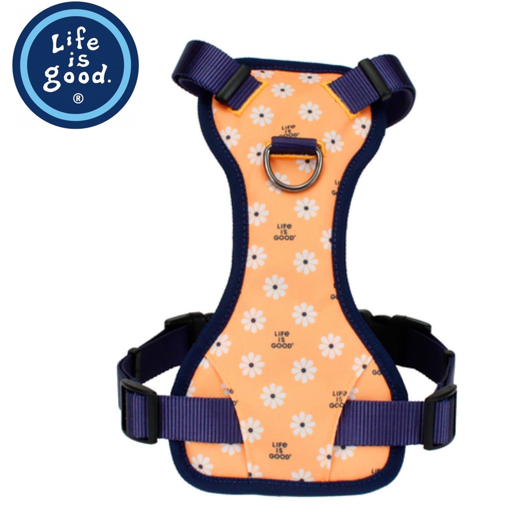 Life is Good Daisy Dog Harness- Baja Yellow